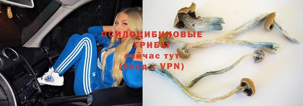 mdpv Абинск