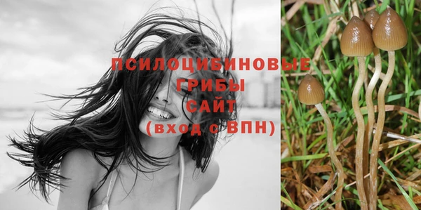 прущая мука Абдулино
