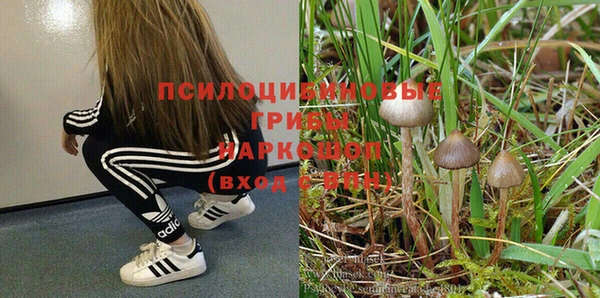 первитин Абаза